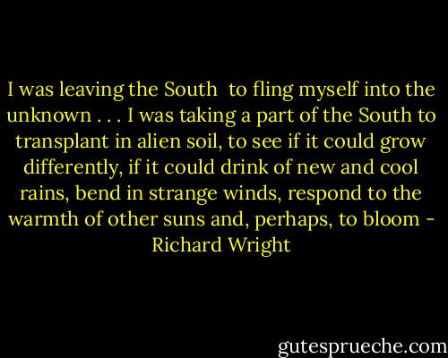 I was leaving the South <br />to fling myself into the unknown . . .<br />I was taking a part of the South<br />to transplant in alien soil,<br />to see if it could grow differently,<br />if it could drink of new and cool rains,<br />bend in strange winds,<br />respond to the warmth of other suns<br />and, perhaps, to bloom - Richard Wright