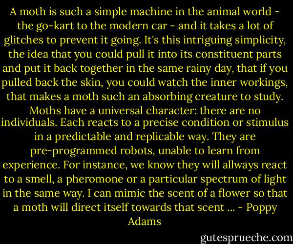 A moth is such a simple machine in the animal world - the go-kart to the modern car - and it takes a lot of glitches to prevent it going. It's this intriguing simplicity, the idea that you could pull it into its constituent parts and put it back together in the same rainy day, that if you pulled back the skin, you could watch the inner workings, that makes a moth such an absorbing creature to study. Moths have a universal character: there are no individuals. Each reacts to a precise condition or stimulus in a predictable and replicable way. They are pre-programmed robots, unable to learn from experience. For instance, we know they will allways react to a smell, a pheromone or a particular spectrum of light in the same way. I can mimic the scent of a flower so that a moth will direct itself towards that scent ... - Poppy Adams