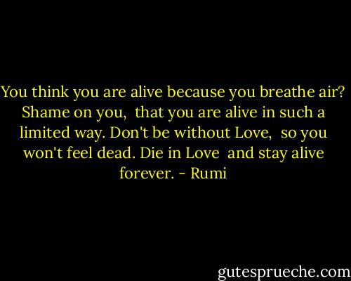 You think you are alive<br />because you breathe air?<br />Shame on you, <br />that you are alive in such a limited way.<br />Don't be without Love, <br />so you won't feel dead.<br />Die in Love <br />and stay alive forever. - Rumi