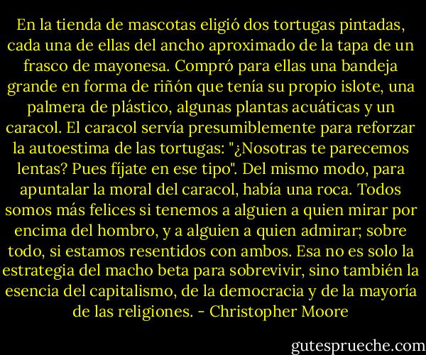 En la tienda de mascotas eligió dos tortugas pintadas, cada una de ellas del ancho aproximado de la tapa de un frasco de mayonesa. Compró para ellas una bandeja grande en forma de riñón que tenía su propio islote, una palmera de plástico, algunas plantas acuáticas y un caracol. El caracol servía presumiblemente para reforzar la autoestima de las tortugas: "¿Nosotras te parecemos lentas? Pues fíjate en ese tipo". Del mismo modo, para apuntalar la moral del caracol, había una roca. Todos somos más felices si tenemos a alguien a quien mirar por encima del hombro, y a alguien a quien admirar; sobre todo, si estamos resentidos con ambos. Esa no es solo la estrategia del macho beta para sobrevivir, sino también la esencia del capitalismo, de la democracia y de la mayoría de las religiones. - Christopher Moore
