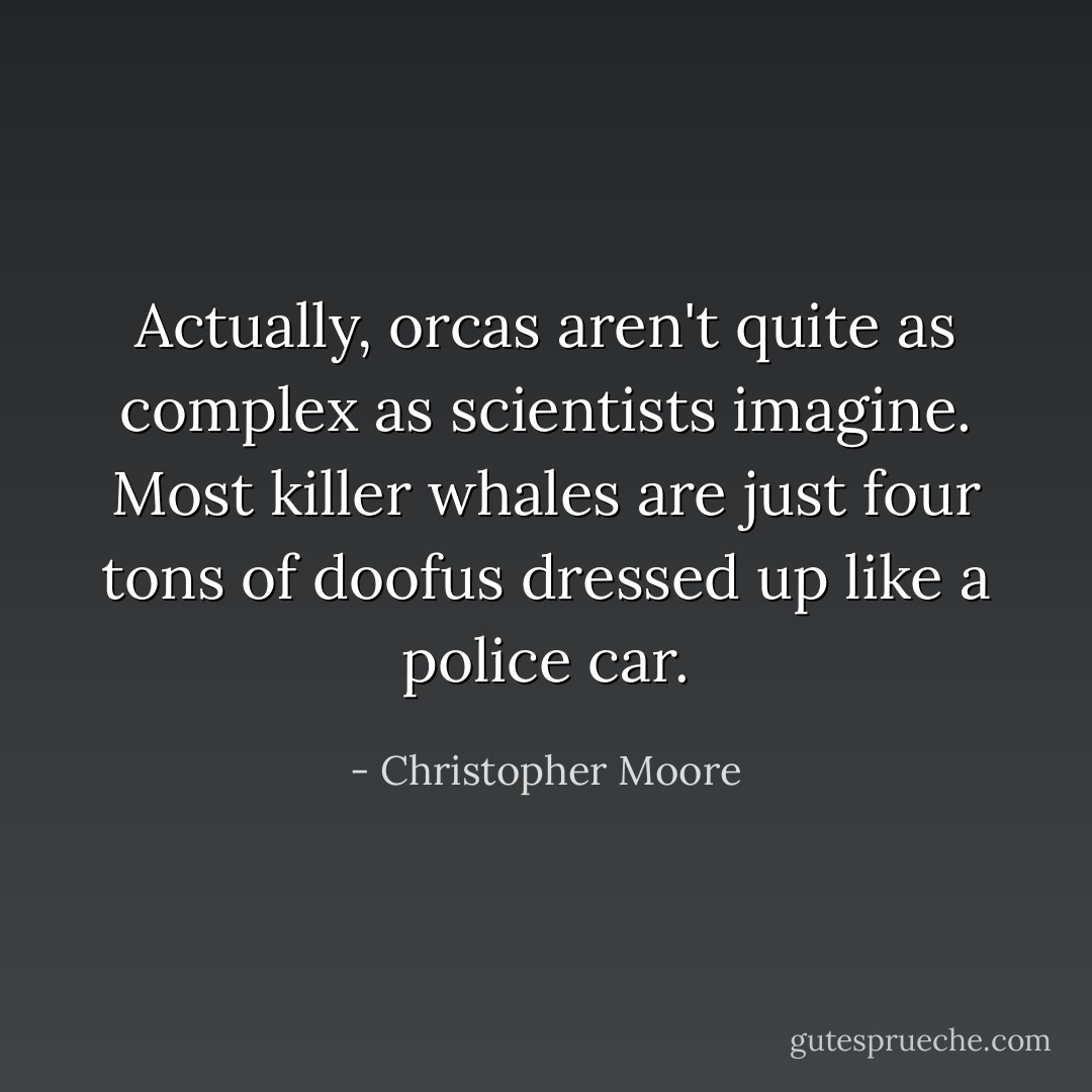 Actually, orcas aren't quite as complex as scientists imagine. Most killer whales are just four tons of doofus dressed up like a police car. - Christopher Moore