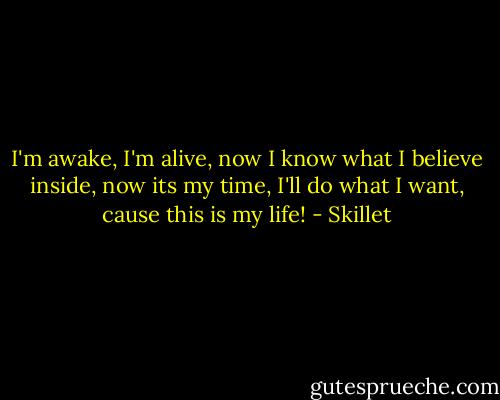 I'm awake, I'm alive, now I know what I believe inside, now its my time, I'll do what I want, cause this is my life! - Skillet
