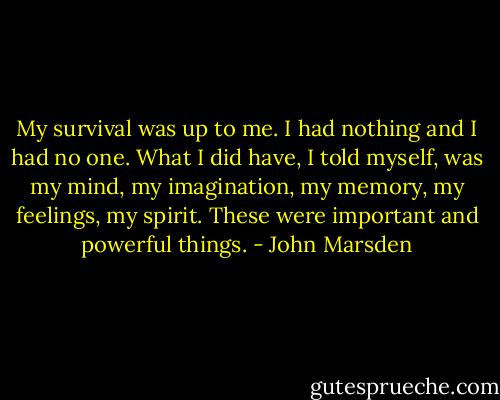 My survival was up to me. I had nothing and I had no one. What I did have, I told myself, was my mind, my imagination, my memory, my feelings, my spirit. These were important and powerful things. - John Marsden