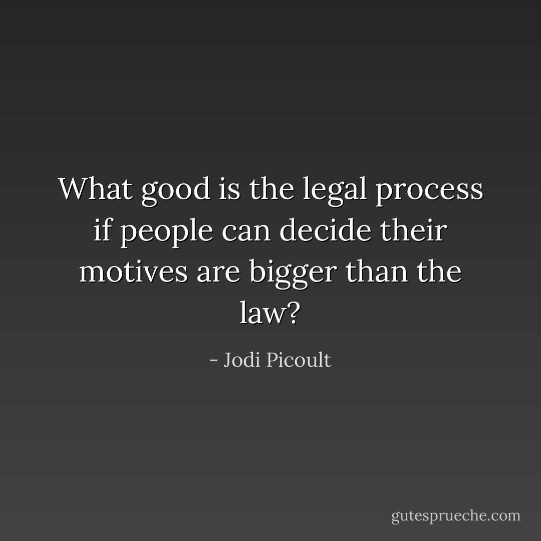What good is the legal process if people can decide their motives are bigger than the law? - Jodi Picoult