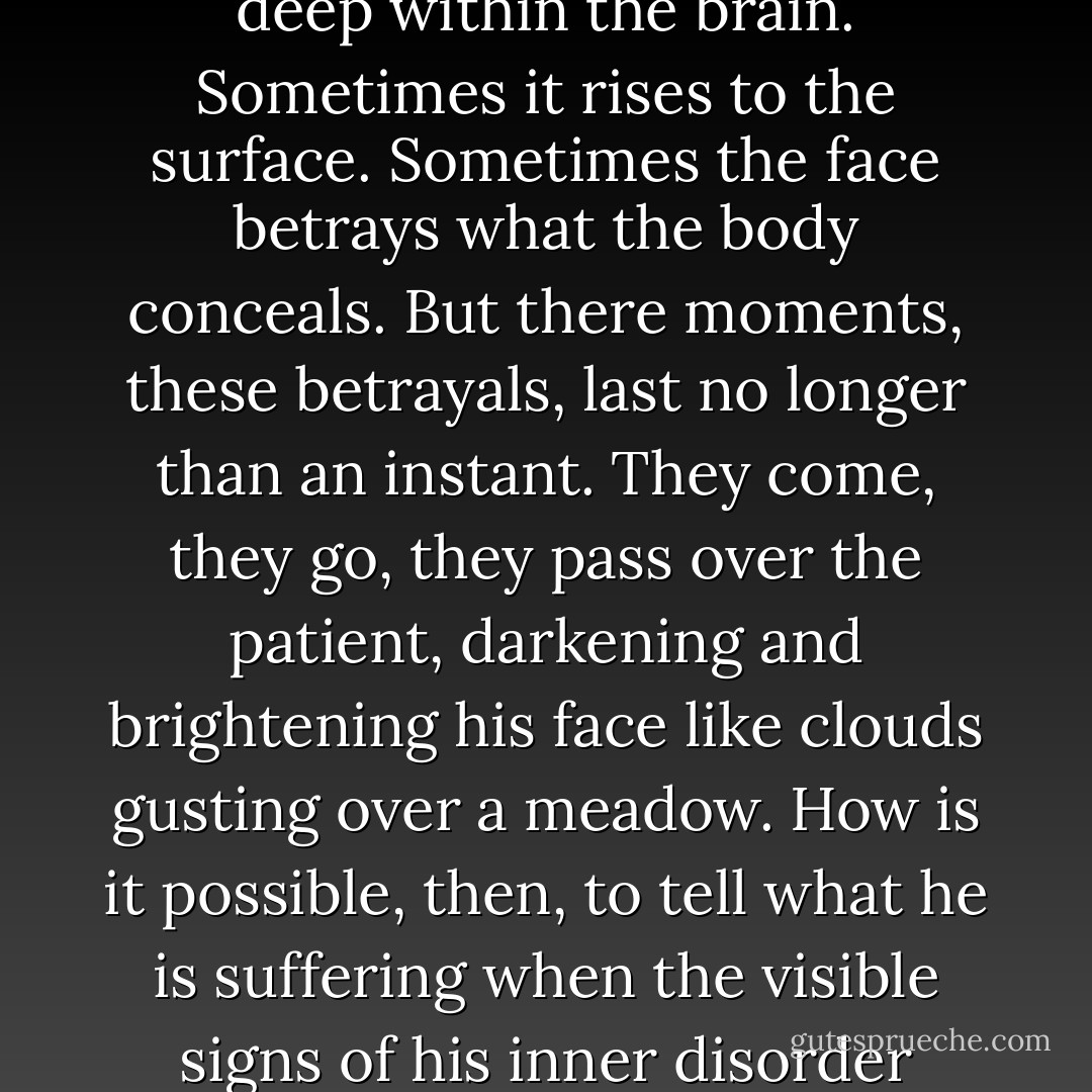 But illness does not always write itself upon the body, the sickness I search for is hidden deep within the brain. Sometimes it rises to the surface. Sometimes the face betrays what the body conceals. But there moments, these betrayals, last no longer than an instant. They come, they go, they pass over the patient, darkening and brightening his face like clouds gusting over a meadow. How is it possible, then, to tell what he is suffering when the visible signs of his inner disorder appear so fleetingly upon his face? - Sarah Shun-lien Bynum