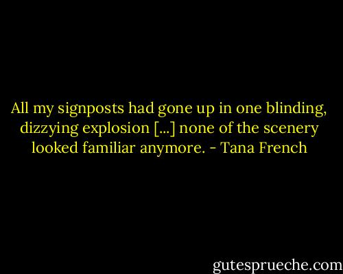 All my signposts had gone up in one blinding, dizzying explosion [...] none of the scenery looked familiar anymore. - Tana French