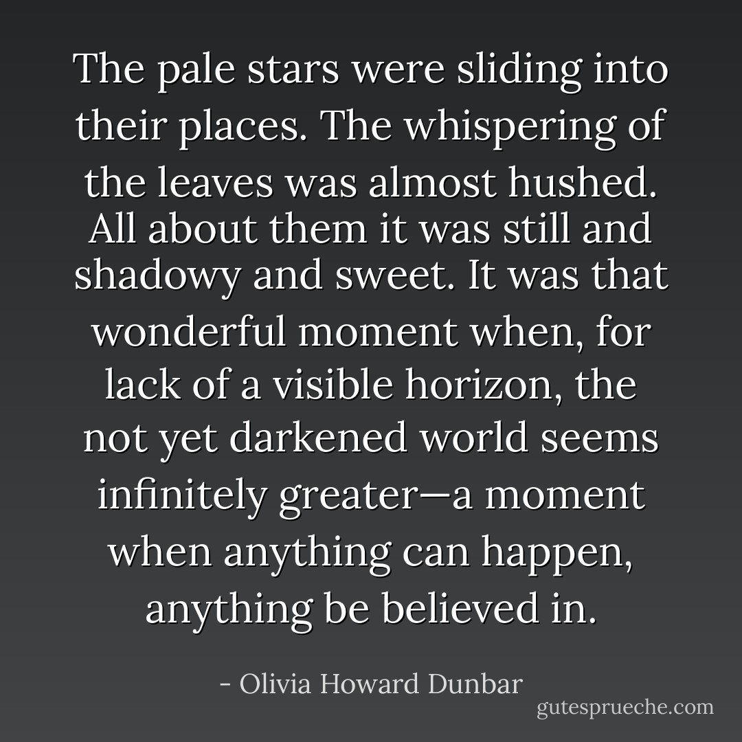 The pale stars were sliding into their places. The whispering of the leaves was almost hushed. All about them it was still and shadowy and sweet. It was that wonderful moment when, for lack of a visible horizon, the not yet darkened world seems infinitely greater—a moment when anything can happen, anything be believed in. - Olivia Howard Dunbar