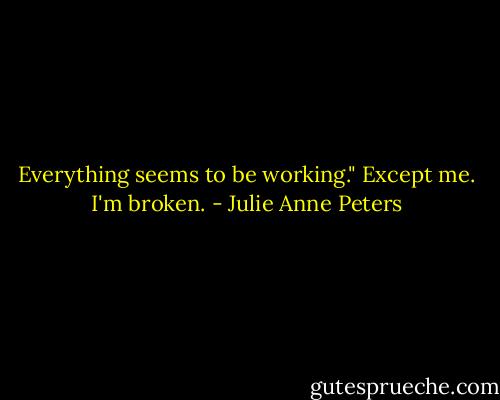 Everything seems to be working." Except me. I'm broken. - Julie Anne Peters