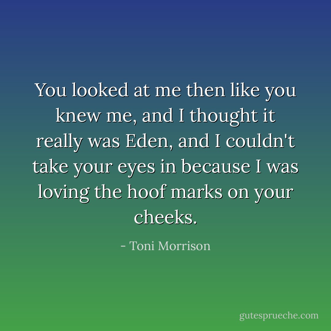 You looked at me then like you knew me, and I thought it really was Eden, and I couldn't take your eyes in because I was loving the hoof marks on your cheeks. - Toni Morrison