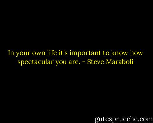 In your own life it's important to know how spectacular you are. - Steve Maraboli