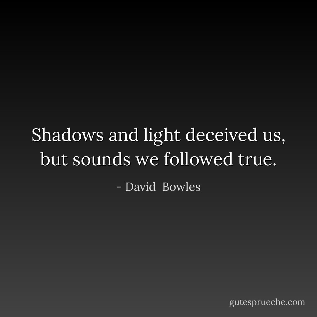 Shadows and light deceived us, but sounds we followed true. - David  Bowles