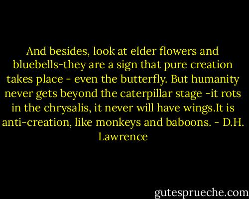 And besides, look at elder flowers and bluebells-they are a sign that pure creation takes place - even the butterfly.<br />But humanity never gets beyond the caterpillar stage -it rots in the chrysalis, it never will have wings.It is anti-creation, like monkeys and baboons. - D.H. Lawrence