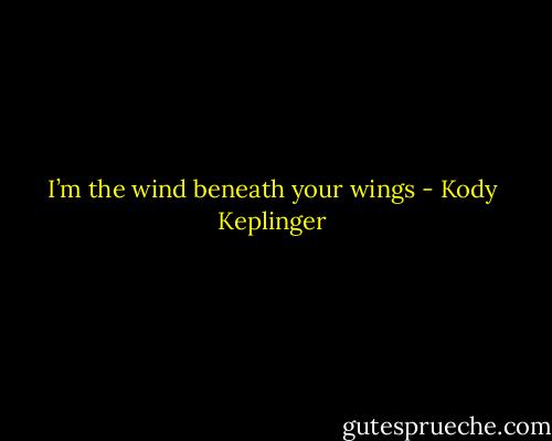 I’m the wind beneath your wings - Kody Keplinger