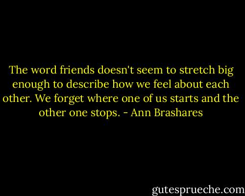 The word friends doesn't seem to stretch big enough to describe how we feel about each other. We forget where one of us starts and the other one stops. - Ann Brashares