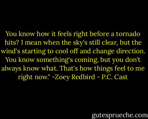 You know how it feels right before a tornado hits? I mean when the sky's still clear, but the wind's starting to cool off and change direction. You know something's coming, but you don't always know what. That's how things feel to me right now." -Zoey Redbird - P.C. Cast
