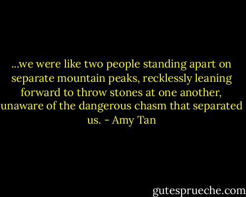...we were like two people standing apart on separate mountain peaks, recklessly leaning forward to throw stones at one another, unaware of the dangerous chasm that separated us. - Amy Tan