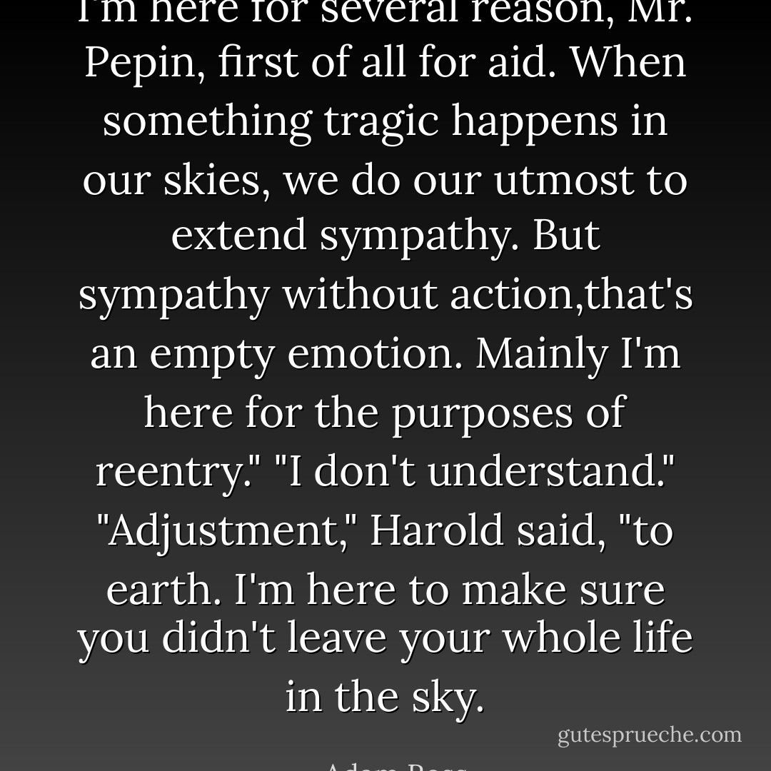 I'm here for several reason, Mr. Pepin, first of all for aid. When something tragic happens in our skies, we do our utmost to extend sympathy. But sympathy without action,that's an empty emotion. Mainly I'm here for the purposes of reentry."<br />"I don't understand."<br />"Adjustment," Harold said, "to <i>earth</i>. I'm here to make sure you didn't leave your whole life in the sky. - Adam Ross