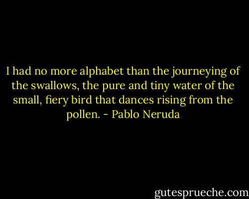I had no more alphabet<br />than the journeying of the swallows,<br />the pure and tiny water<br />of the small, fiery bird<br />that dances rising from the pollen. - Pablo Neruda