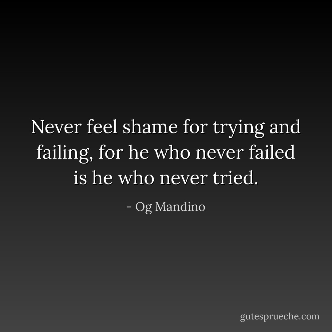 Never feel shame for trying and failing, for he who never failed is he who never tried. - Og Mandino