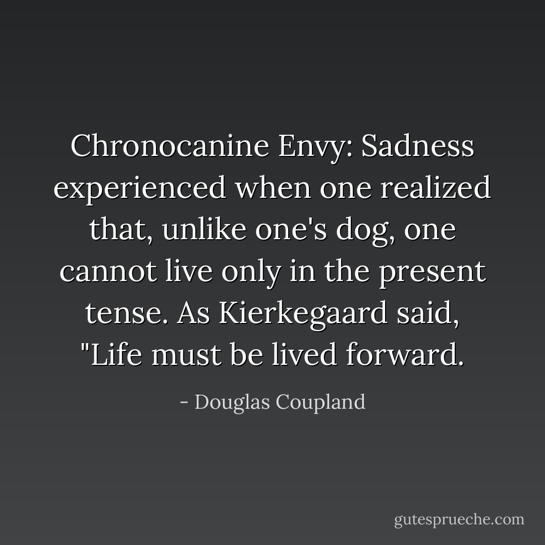 Chronocanine Envy:<br />Sadness experienced when one realized that, unlike one's dog, one cannot live only in the present tense. As Kierkegaard said, "Life must be lived forward. - Douglas Coupland