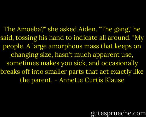 The Amoeba?" she asked Aiden.<br />"The gang," he said, tossing his hand to indicate all around. "My<br />people. A large amorphous mass that keeps on changing size, hasn't<br />much apparent use, sometimes makes you sick, and occasionally breaks<br />off into smaller parts that act exactly like the parent. - Annette Curtis Klause