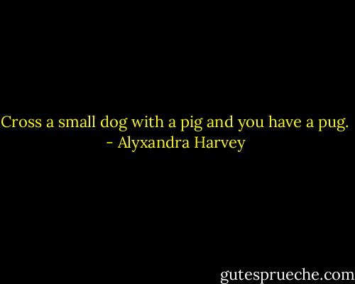 Cross a small dog with a pig and you have a pug. - Alyxandra Harvey