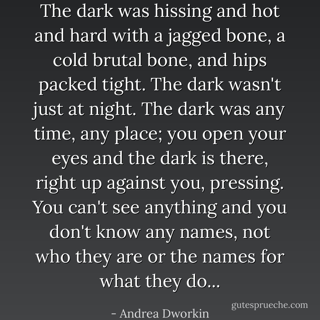 The dark was hissing and hot and hard with a jagged bone, a cold brutal bone, and hips packed tight. The dark wasn't just at night. The dark was any time, any place; you open your eyes and the dark is there, right up against you, pressing. You can't see anything and you don't know any names, not who they are or the names for what they do... - Andrea Dworkin