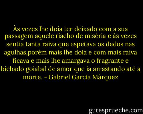 Às vezes lhe doía ter deixado com a sua passagem aquele riacho de miséria e às vezes sentia tanta raiva que espetava os dedos nas agulhas,porém mais lhe doía e com mais raiva ficava e mais lhe amargava o fragrante e bichado goiabal de amor que ia arrastando até a morte. - Gabriel García Márquez