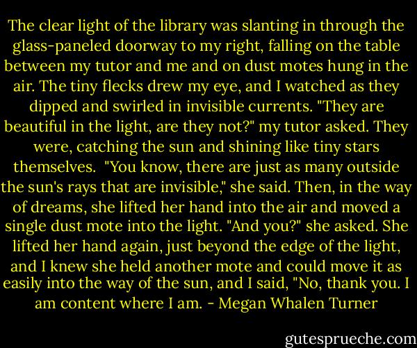 The clear light of the library was slanting in through the glass-paneled doorway to my right, falling on the table between my tutor and me and on dust motes hung in the air. The tiny flecks drew my eye, and I watched as they dipped and swirled in invisible currents.<br />"They are beautiful in the light, are they not?" my tutor asked. They were, catching the sun and shining like tiny stars themselves. <br />"You know, there are just as many outside the sun's rays that are invisible," she said. Then, in the way of dreams, she lifted her hand into the air and moved a single dust mote into the light. "And you?" she asked. She lifted her hand again, just beyond the edge of the light, and I knew she held another mote and could move it as easily into the way of the sun, and I said, "No, thank you. I am content where I am. - Megan Whalen Turner
