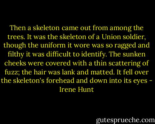 Then a skeleton came out from among the trees. It was the skeleton of a Union soldier, though the uniform it wore was so ragged and filthy it was difficult to identify. The sunken cheeks were covered with a thin scattering of fuzz; the hair was lank and matted. It fell over the skeleton's forehead and down into its eyes - Irene Hunt