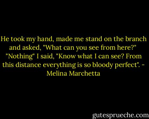 He took my hand, made me stand on the branch and asked, "What can you see from here?" <br />"Nothing" I said,<br />"Know what I can see? From this distance everything is so bloody perfect". - Melina Marchetta