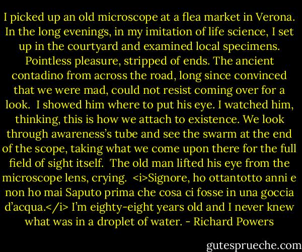 I picked up an old microscope at a flea market in Verona. In the long evenings, in my imitation of life science, I set up in the courtyard and examined local specimens. Pointless pleasure, stripped of ends. The ancient contadino from across the road, long since convinced that we were mad, could not resist coming over for a look.<br /><br />I showed him where to put his eye. I watched him, thinking, this is how we attach to existence. We look through awareness’s tube and see the swarm at the end of the scope, taking what we come upon there for the full field of sight itself.<br /><br />The old man lifted his eye from the microscope lens, crying.<br /><br /><i>Signore, ho ottantotto anni e non ho mai Saputo prima che cosa ci fosse in una goccia d’acqua.</i> I’m eighty-eight years old and I never knew what was in a droplet of water. - Richard Powers