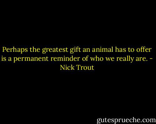 Perhaps the greatest gift an animal has to offer is a permanent reminder of who we really are. - Nick Trout