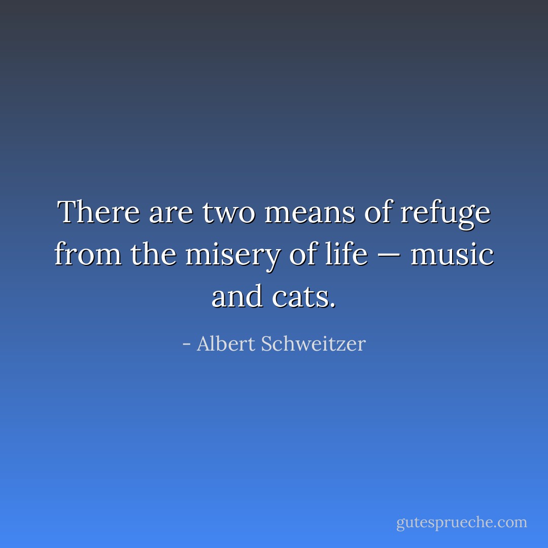 There are two means of refuge from the misery of life — music and cats. - Albert Schweitzer