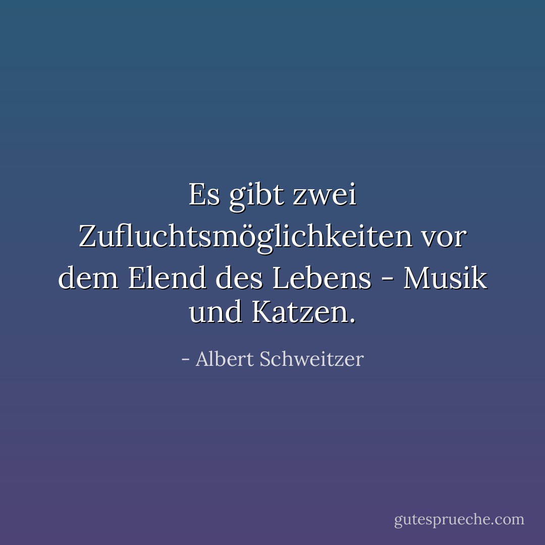 Es gibt zwei Zufluchtsmöglichkeiten vor dem Elend des Lebens - Musik und Katzen. - Albert Schweitzer<