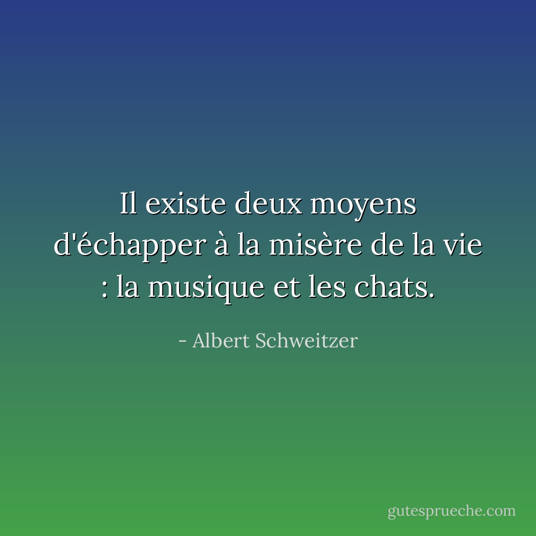 Il existe deux moyens d'échapper à la misère de la vie : la musique et les chats. - Albert Schweitzer