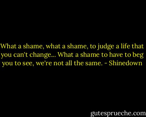 What a shame, what a shame, to judge a life that you can't change... What a shame to have to beg you to see, we're not all the same. - Shinedown