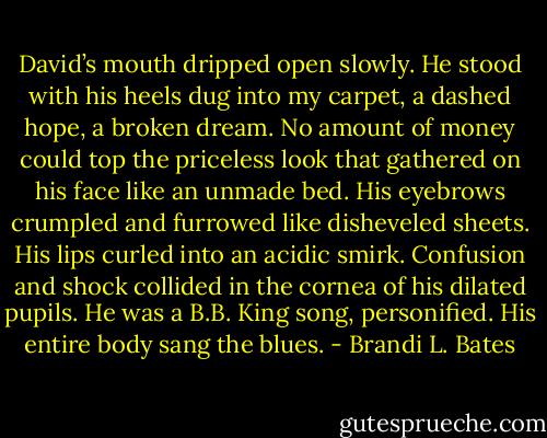 David’s mouth dripped open slowly. He stood with his heels dug into my carpet, a dashed hope, a broken dream. No amount of money could top the priceless look that gathered on his face like an unmade bed. His eyebrows crumpled and furrowed like disheveled sheets. His lips curled into an acidic smirk. Confusion and shock collided in the cornea of his dilated pupils. He was a B.B. King song, personified. His entire body sang the blues. - Brandi L. Bates
