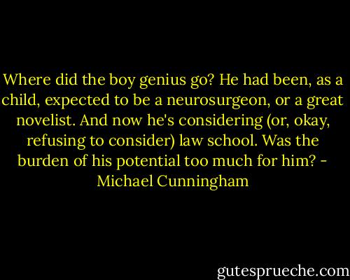 Where did the boy genius go? He had been, as a child, expected to be a neurosurgeon, or a great novelist. And now he's considering (or, okay, refusing to consider) law school. Was the burden of his potential too much for him? - Michael Cunningham