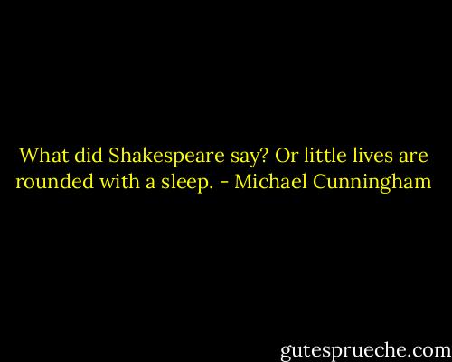 What did Shakespeare say? Or little lives are rounded with a sleep. - Michael Cunningham