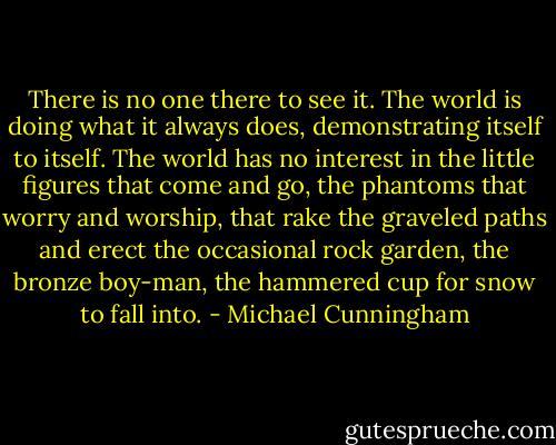 There is no one there to see it. The world is doing what it always does, demonstrating itself to itself. The world has no interest in the little figures that come and go, the phantoms that worry and worship, that rake the graveled paths and erect the occasional rock garden, the bronze boy-man, the hammered cup for snow to fall into. - Michael Cunningham