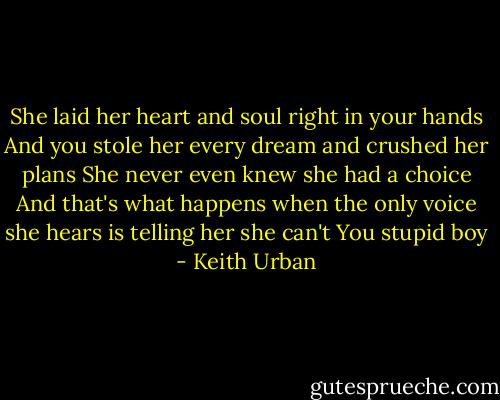 She laid her heart and soul right in your hands<br />And you stole her every dream and crushed her plans<br />She never even knew she had a choice<br />And that's what happens when the only voice she hears is telling her she can't<br />You stupid boy - Keith Urban