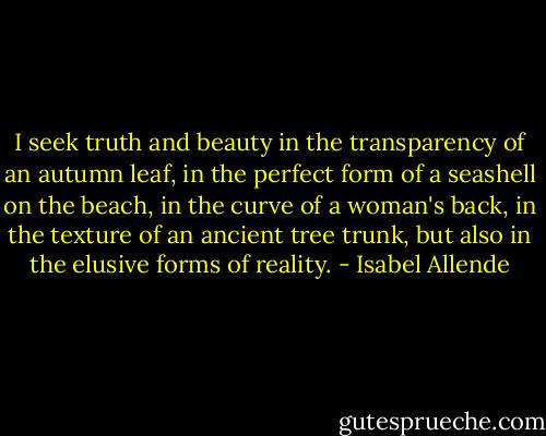 I seek truth and beauty in the transparency of an autumn leaf, in the perfect form of a seashell on the beach, in the curve of a woman's back, in the texture of an ancient tree trunk, but also in the elusive forms of reality. - Isabel Allende