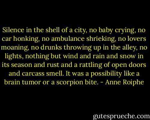 Silence in the shell of a city, no baby crying, no car honking, no ambulance shrieking, no lovers moaning, no drunks throwing up in the alley, no lights, nothing but wind and rain and snow in its season and rust and a rattling of open doors and carcass smell. It was a possibility like a brain tumor or a scorpion bite. - Anne Roiphe