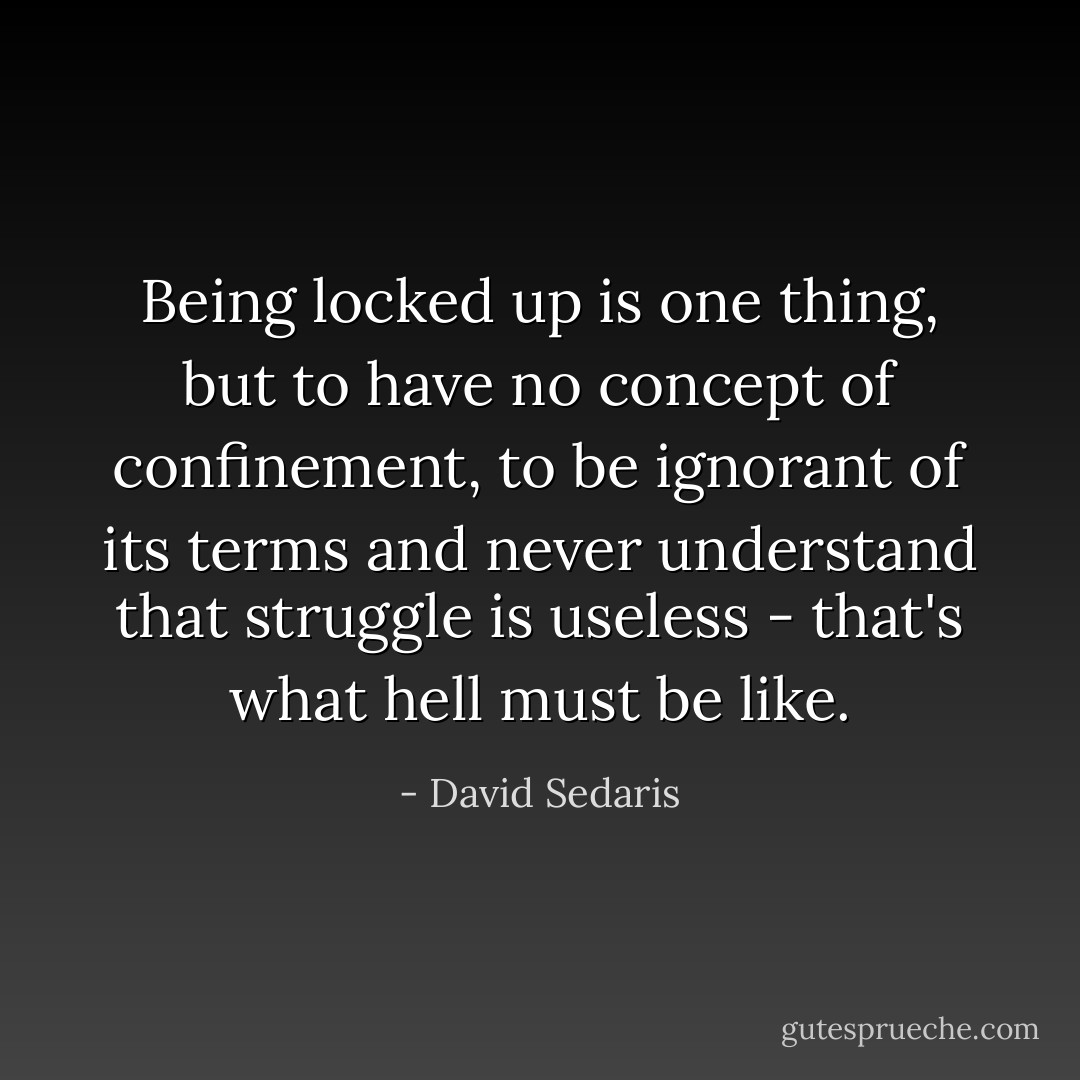 Being locked up is one thing, but to have no concept of confinement, to be ignorant of its terms and never understand that struggle is useless - that's what hell must be like. - David Sedaris
