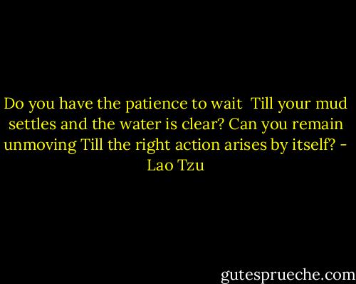 Do you have the patience to wait <br />Till your mud settles and the water is clear?<br />Can you remain unmoving<br />Till the right action arises by itself? - Lao Tzu