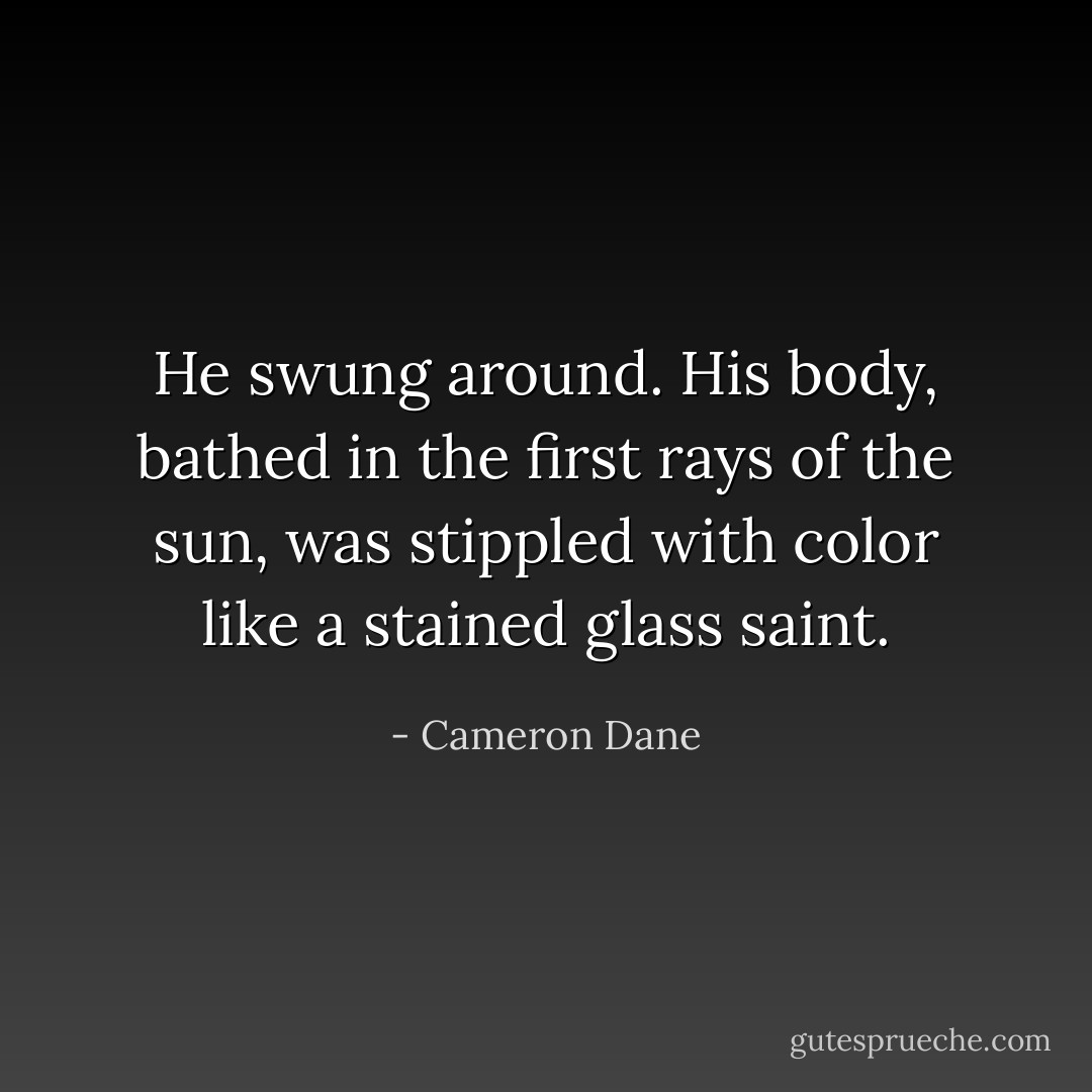 He swung around. His body, bathed in the first rays of the sun, was stippled<br />with color like a stained glass saint. - Cameron Dane