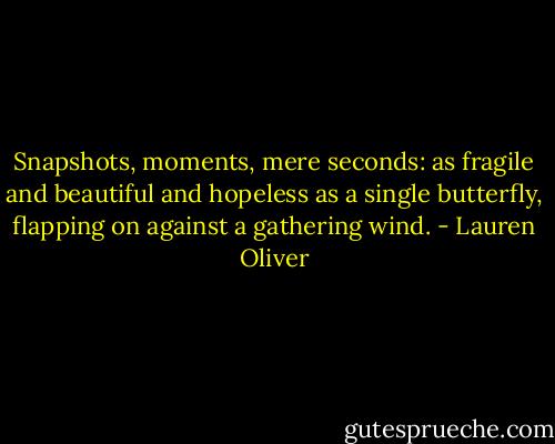Snapshots, moments, mere seconds: as fragile and beautiful and hopeless as a single butterfly, flapping on against a gathering wind. - Lauren Oliver