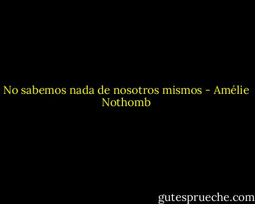 No sabemos nada de nosotros mismos - Amélie Nothomb
