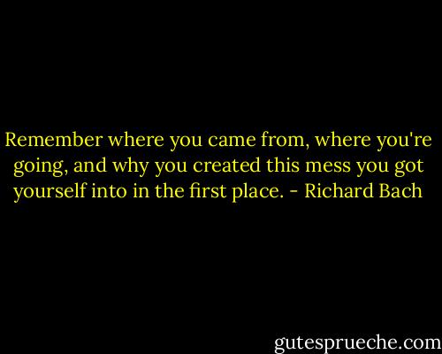 Remember where you came from, where you're going, and why you created this mess you got yourself into in the first place. - Richard Bach